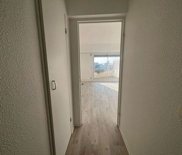 Location Appartement 1 pièce 31m² - Photo 2