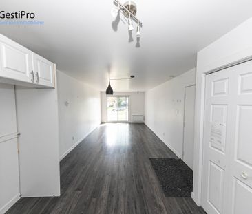 1521 Jean-Talon Ouest - Photo 2