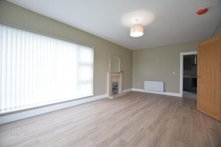 45 Coolreaghs Road, Cookstown, BT80 8ER - Photo 4