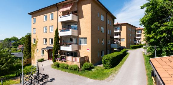 Floragatan 13 - Photo 2