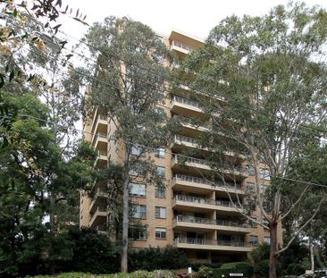 1105/4 Francis Road, Artarmon NSW 2064 - Apartment For Rent | Domain - Photo 2
