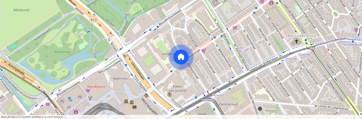 Theresiastraat 12 C, 2593 AN, Den Haag