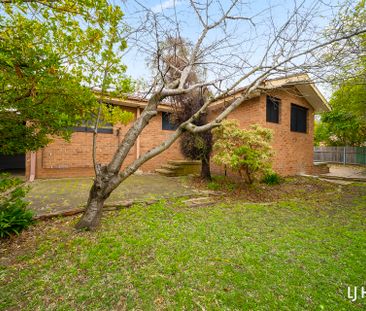 1 Napper Place, Charnwood ACT 2615 - House For Rent | Domain - Photo 3