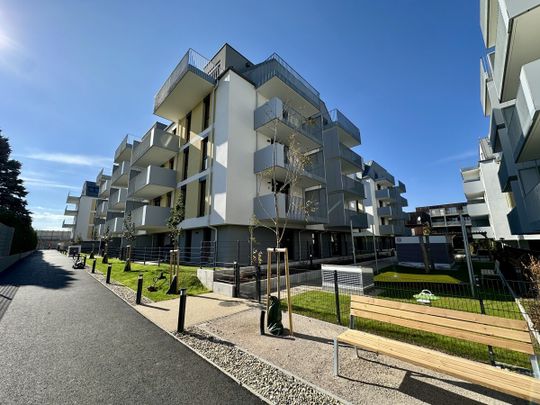 1 Monat Mietzinsfrei: Erstbezug im Grünen Nahe der U2 - zwischen Badeteich Hirschstetten & Seestadt - Foto 1
