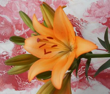 Gemütliches Wohnung mit Balkon zu sofort zu vermieten an EP - Photo 4