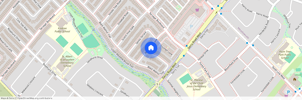 7020 Black Walnut Trail, Mississauga