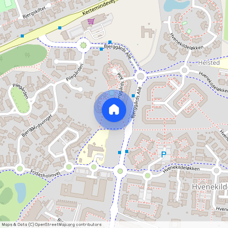 Bjerggårds Allé 91 A, 1., 5240 Odense NØ, Porthuset