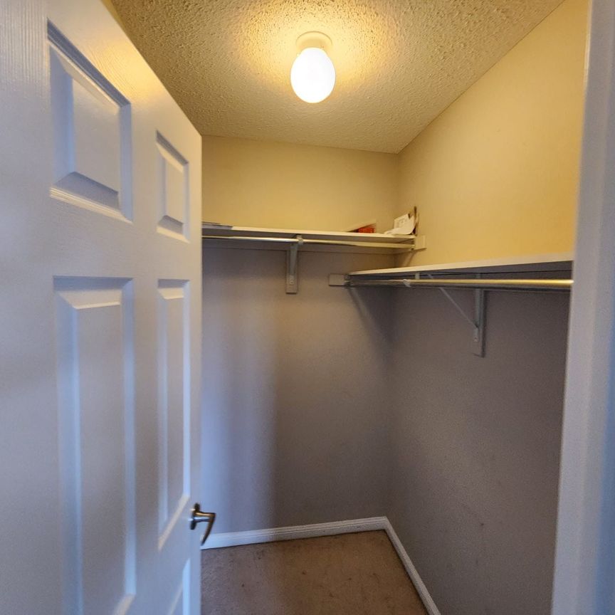 For Lease - 16 Saunter Court, Brampton, Ontario - Photo 1