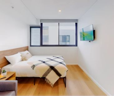 Bexley, Sydney - Photo 3