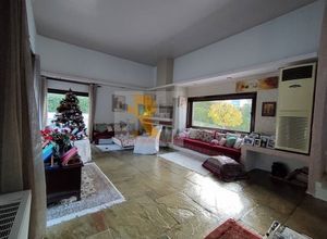 Μονοκατοικία για ενοικίαση - Δροσιά - Photo 3