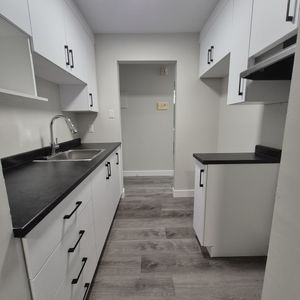 PREMIER MOIS GRATUIT! Appartement 2 Cha - Photo 2