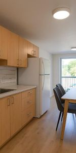 Complexe du Parc | Studio à Louer | Studio for Rent | Sherbrooke - Photo 3