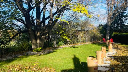 For Lease - 36 Flavian Crescent Unit# Bsmt, Toronto, Ontario - Photo 4