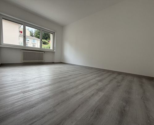 Luminoso 2.5 locali RISTRUTTURATO a Balerna - Photo 1