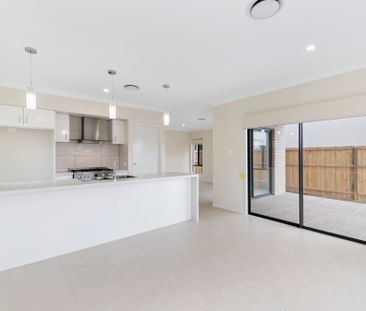 20 Apollo Street, Newport QLD 4020 - House For Rent | Domain - Photo 1