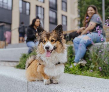 Studio to rent - Photo 5