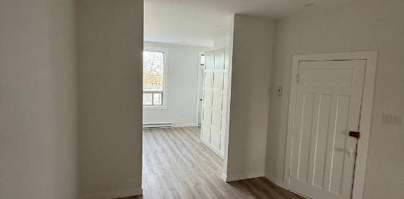 3 ½ récemment rénové à louer à Villeray - Photo 2