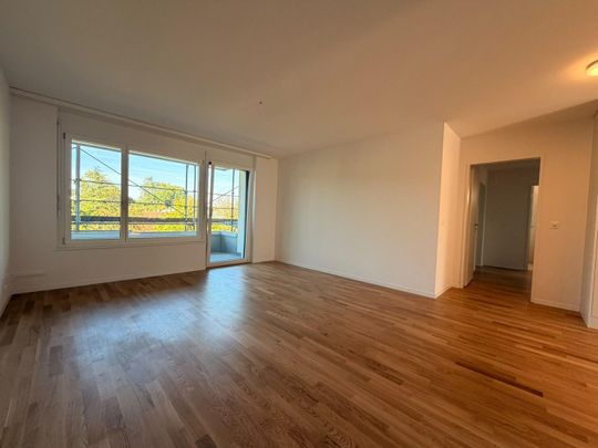 neu sanierte 2.5-Zimmerwohnung im idyllischen Rheinfelden - Photo 1