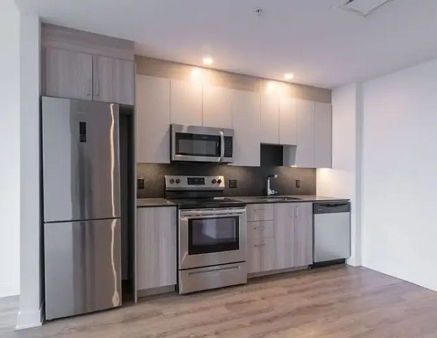 30 Saint Joseph Boulevard Est | 30 Saint-Joseph Est, Montreal - Photo 1