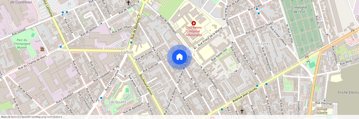 37B RUE PRIEUR DE LA MARNE, 51100, Reims