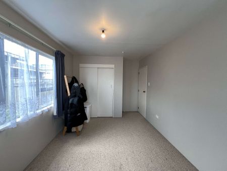 Petone 2 Bedrooms - Photo 4