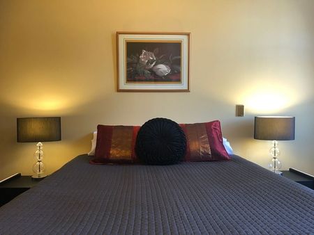 Fabulous Central City Apartment - Fully Furnished - Photo 3