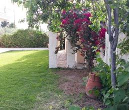 Μονοκατοικία για ενοικίαση - Βίλια, - Photo 5