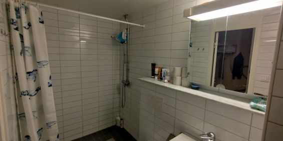 Levertinsgatan, Uppsala - Foto 3