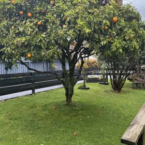 Charming Character Home in Te Kamo - Photo 3