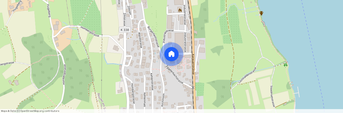 5712, Beinwil am See, Widenmattstrasse, 8