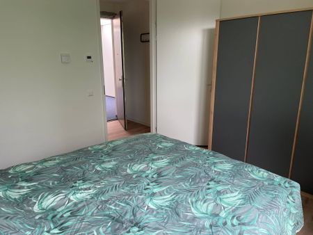 Hoge Rijndijk - Photo 3