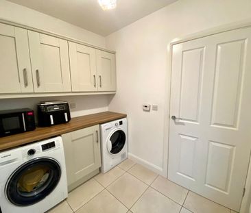 16 Candahar Street, Belfast, BT7 3AQ - Photo 4