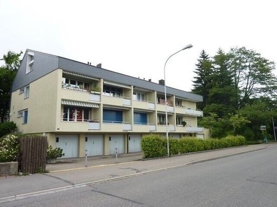 Friendly single apartment in Zumikon - limited until 31.03.2027 - Photo 1