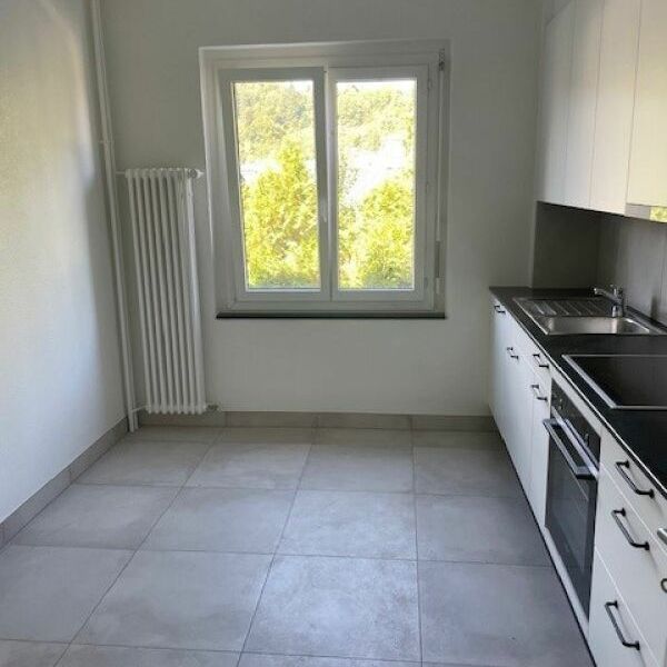 2-room apartment completely renovated with balcony! - Foto 1