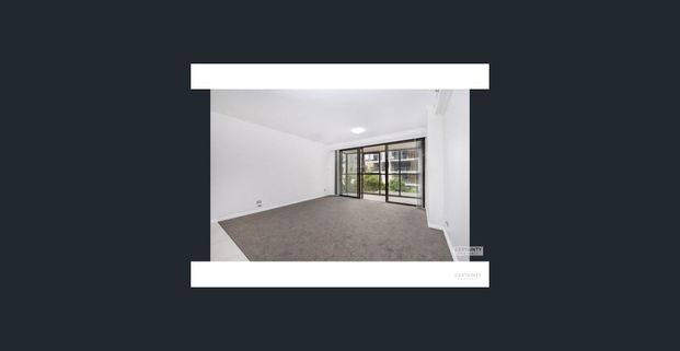 Two-bedroom apartment in Bondi Junction – available 7 November - Photo 1