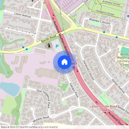 1/29 Kakapo Place, Papatoetoe, Manukau City