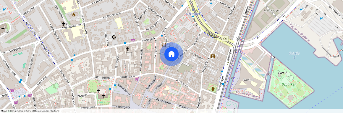 Paradisgade 1C, 2. 1., 8000 Aarhus C