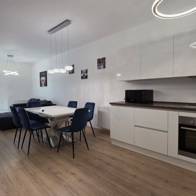 Platinia Shoping Center: apartment for rent in Cluj-Napoca, near the University of Medicine and Pharmacy and the University of Agricultural Sciences and Veterinary Medicine, with 1 bedroom and living-room - Photo 1