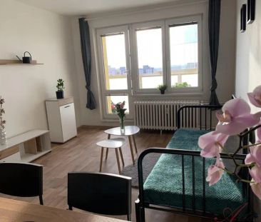 Nájem bytu 1kk Výškovická, Ostrava - Photo 3