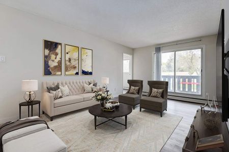 Renovated Suite - 1 Bedroom - Photo 3