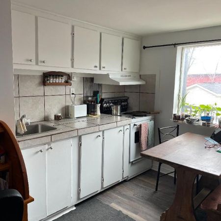 petit studio ,Sainte Adele, electriciter fournie ,parking deneiger, 750 - Photo 4