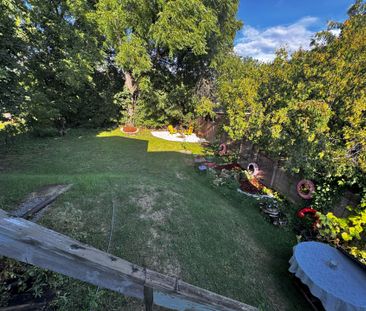 For Lease - 9961 Yonge Street, Richmond Hill, Ontario - Photo 5