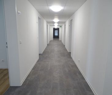 Wunderschöne 1-Zimmer Apartments in Dortmund-Barop + Küche! - Photo 1