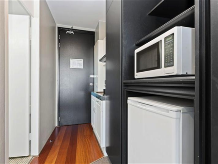 Fully Furnished Studio Apartment in Prime Spring Hill Location - Photo 4