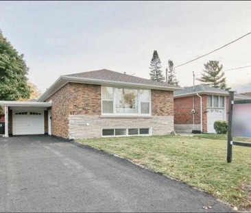 For Lease - 17 Brewton Road Unit# Basement, Toronto, Ontario - Photo 4