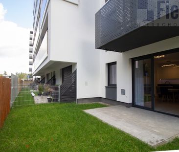 Poznań - Zdjęcie 5