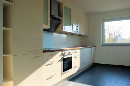 Erdgeschosswohnung mit Einbauküche, Erdwärme und Garten mit unbezahlbarem Blick - Photo 3