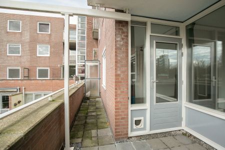 Te huur: Appartement Rupelmonde 80 in Amsterdam - Photo 3