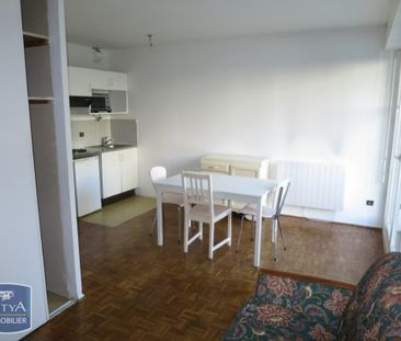Location Appartement 1 pièce 22m² GRENOBLE 38100 - Photo 3