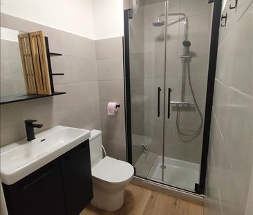 1 pièce - Meublé - 20,8 m² - 1er étage - Colocation non autorisée - Photo 2